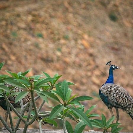 Shikrapur Open House By Stayvista - Nestled In Nature, Featuring A Swimming Pool & Expansive Lawn For A Serene Retreat מראה חיצוני תמונה